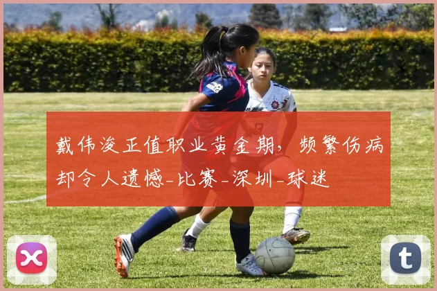 戴伟浚正值职业黄金期，频繁伤病却令人遗憾_比赛_深圳_球迷