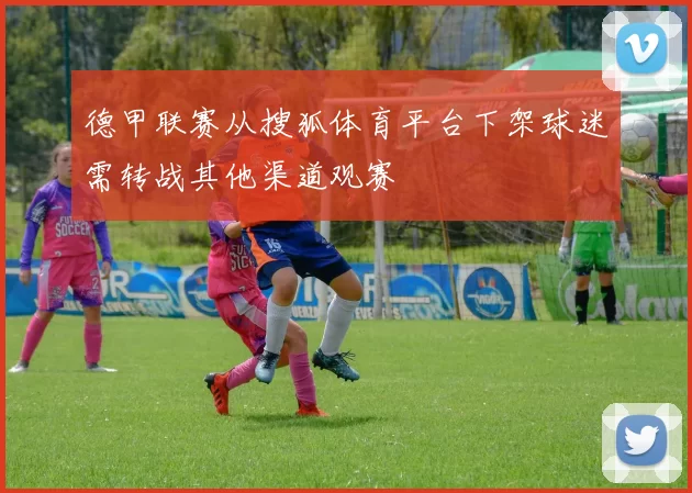 德甲联赛从搜狐体育平台下架球迷需转战其他渠道观赛