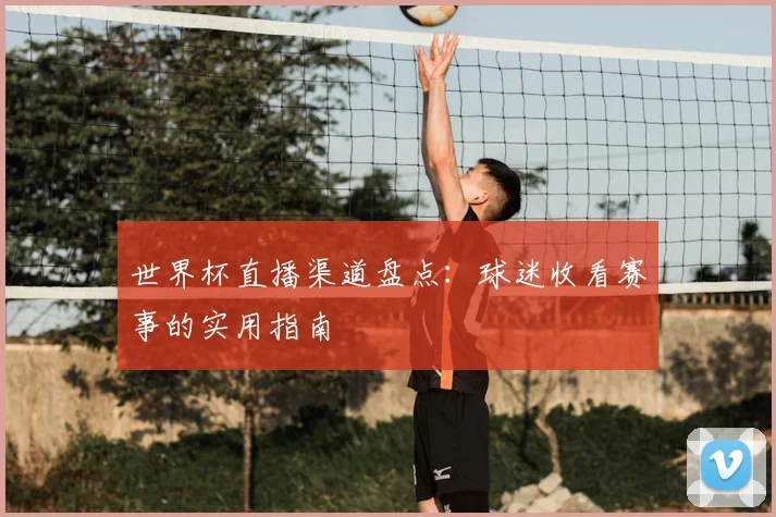 世界杯直播渠道盘点:球迷收看赛事的实用指南