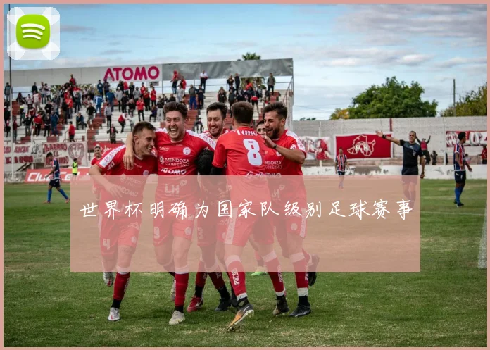 世界杯明确为国家队级别足球赛事