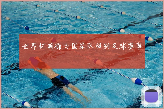 世界杯明确为国家队级别足球赛事